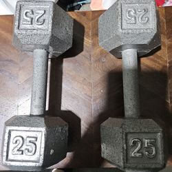 25 Lbs. Weights