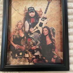Dimebag Darrell Abbott Pantera framed photo