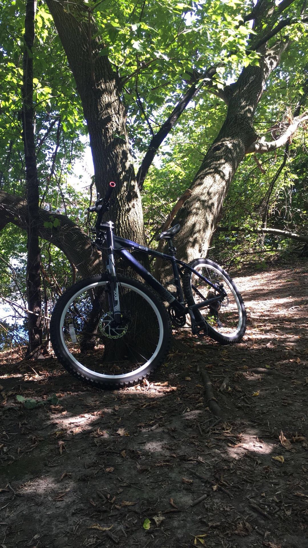 Diamondback Mountain Bike