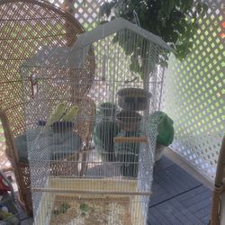 Birds Cage With Every Thing You See In The Cage 