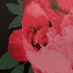 IPhone XR With Tik Tok 27k Followers 