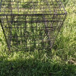 Dog Crate With Handle For Transporting 
