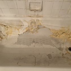 Bathtub 