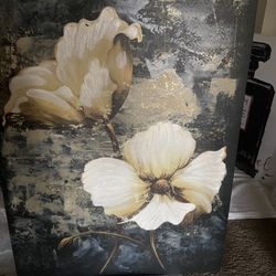 House pictures 
