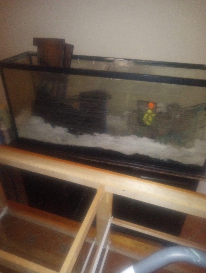55 Gallon Aquarium Need It Gone ASAP