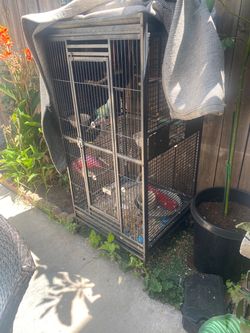 Large bird cage