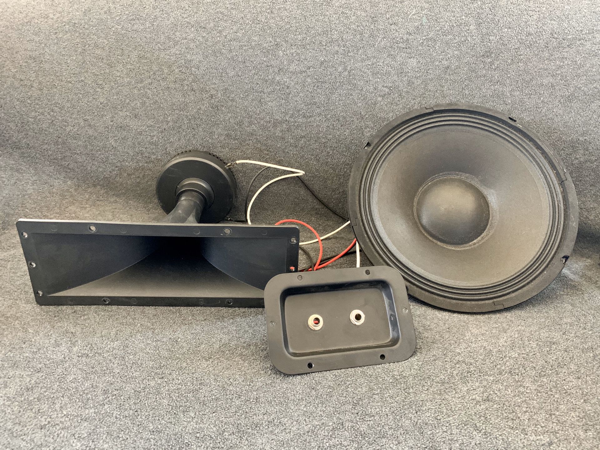 10” speaker & 4 x 8 Piezo horn tweeter - wired with duel port