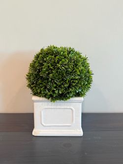 Decor