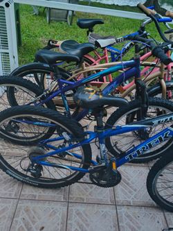 6 Bikes