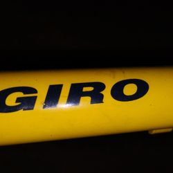 Bianchi ( Carbon Fiber Hybrid ) 