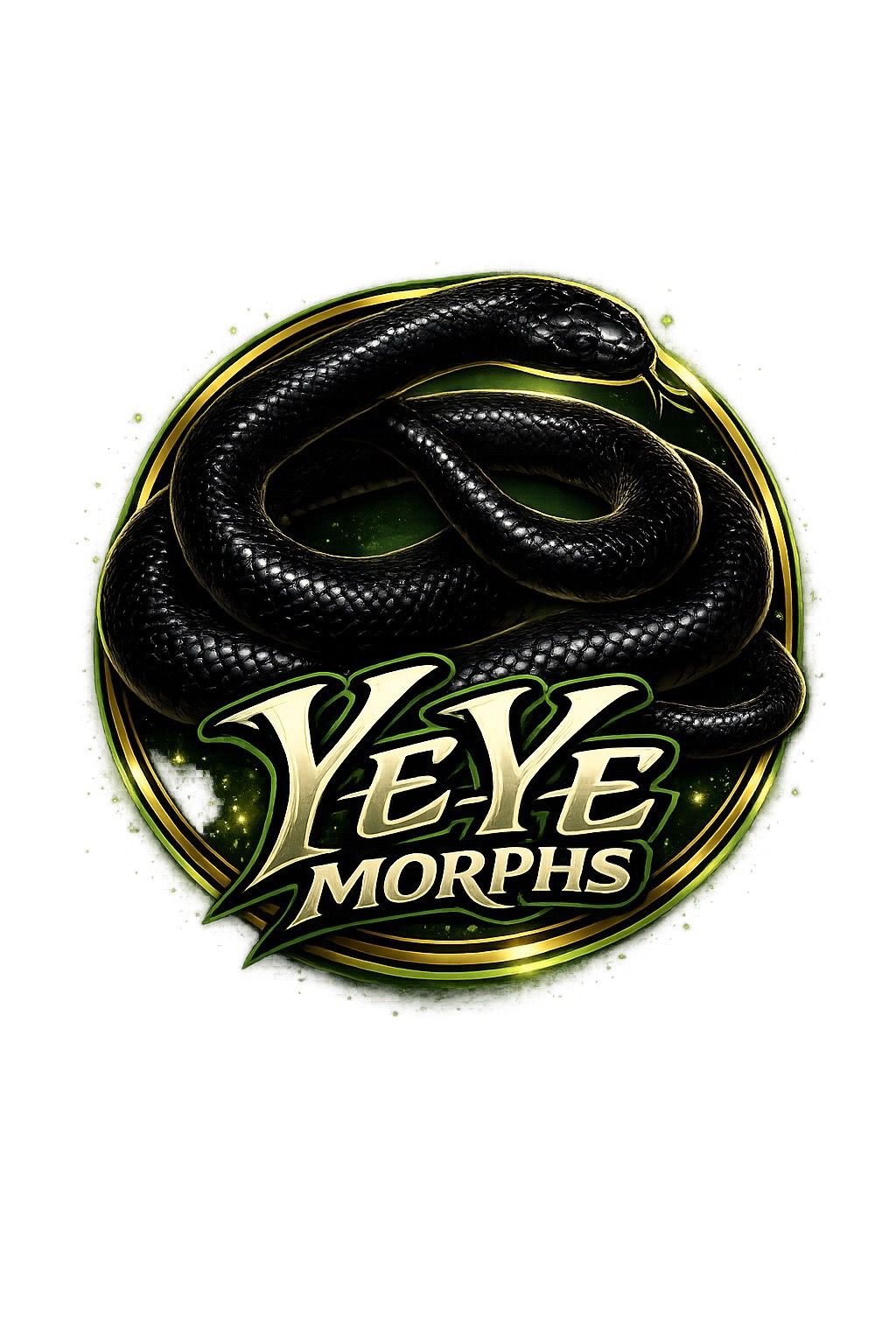 reptile accessories