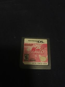 Nintendo ds game