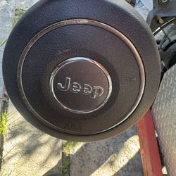 2007-1018 Jeep Rubicon Air Bag 