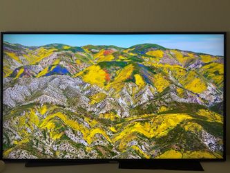 55" Panasonic TV w/ Wall Mount