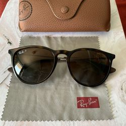 Ray Ban Erika Classic (Case Included)