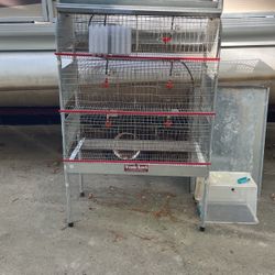 Wynola Quail Cage