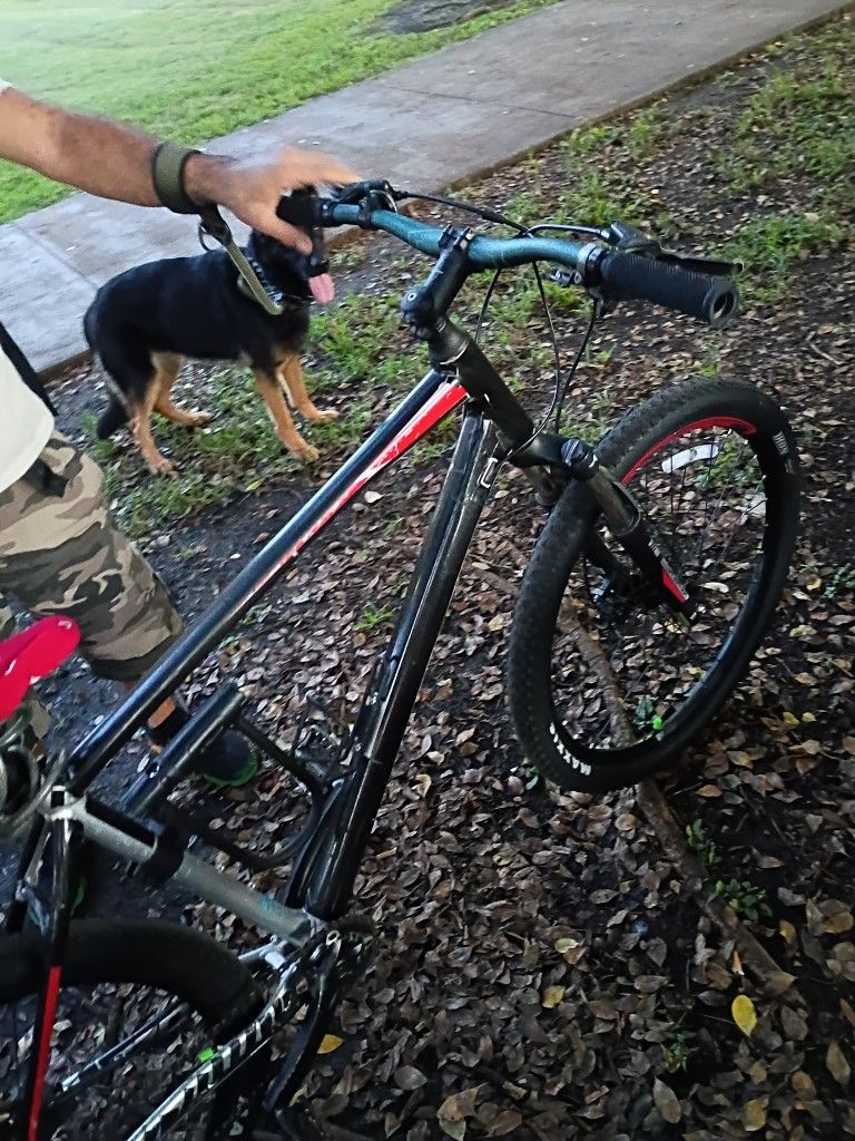 Giant Xl Bike