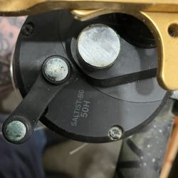 Diawa  Saltist Bg35 & 50’s