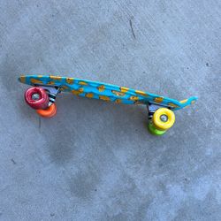 Shark Wheel Plastic Skateboard Cruiser 
