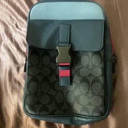 Blue and pink coach cross body bag