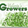 Valerie Growers♡