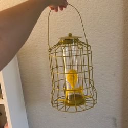 Bird Cage 
