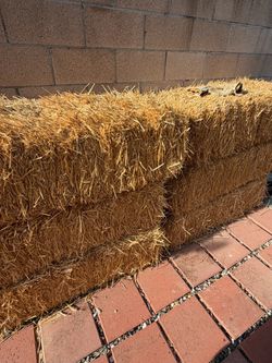 Hay Bale/ straw
