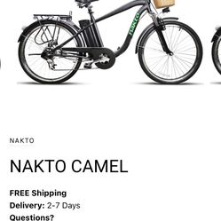 Electric Bike 