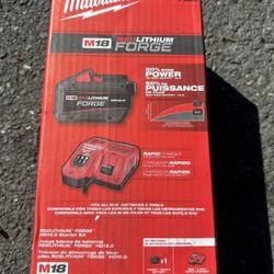 Battery 12 And Charger 