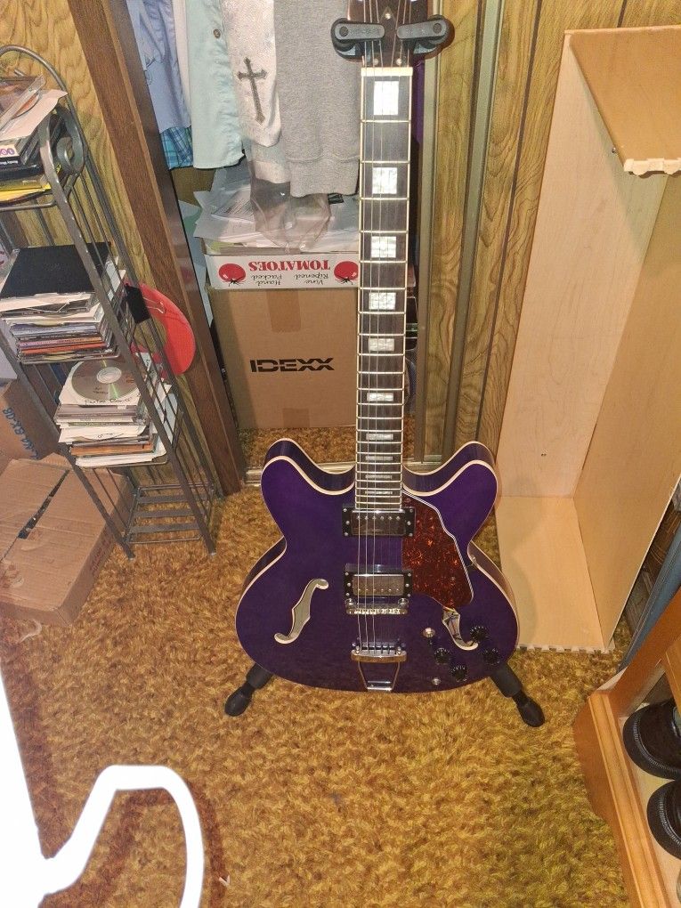 Guitar Purple Rain..