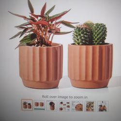 Potey Cement Indoor Plant Pots 4 Inch Set Of 2