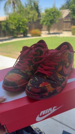 Youth Nike dunks