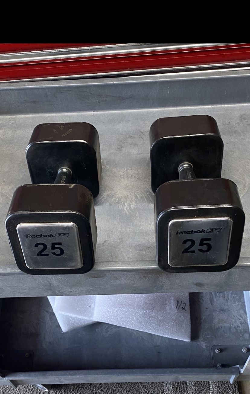 25lb Dumbbells