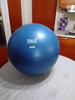 Everlast F.I.T. 65cm Exercise Ball