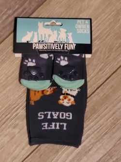 Pet and Owner Socks By Positevely Fun