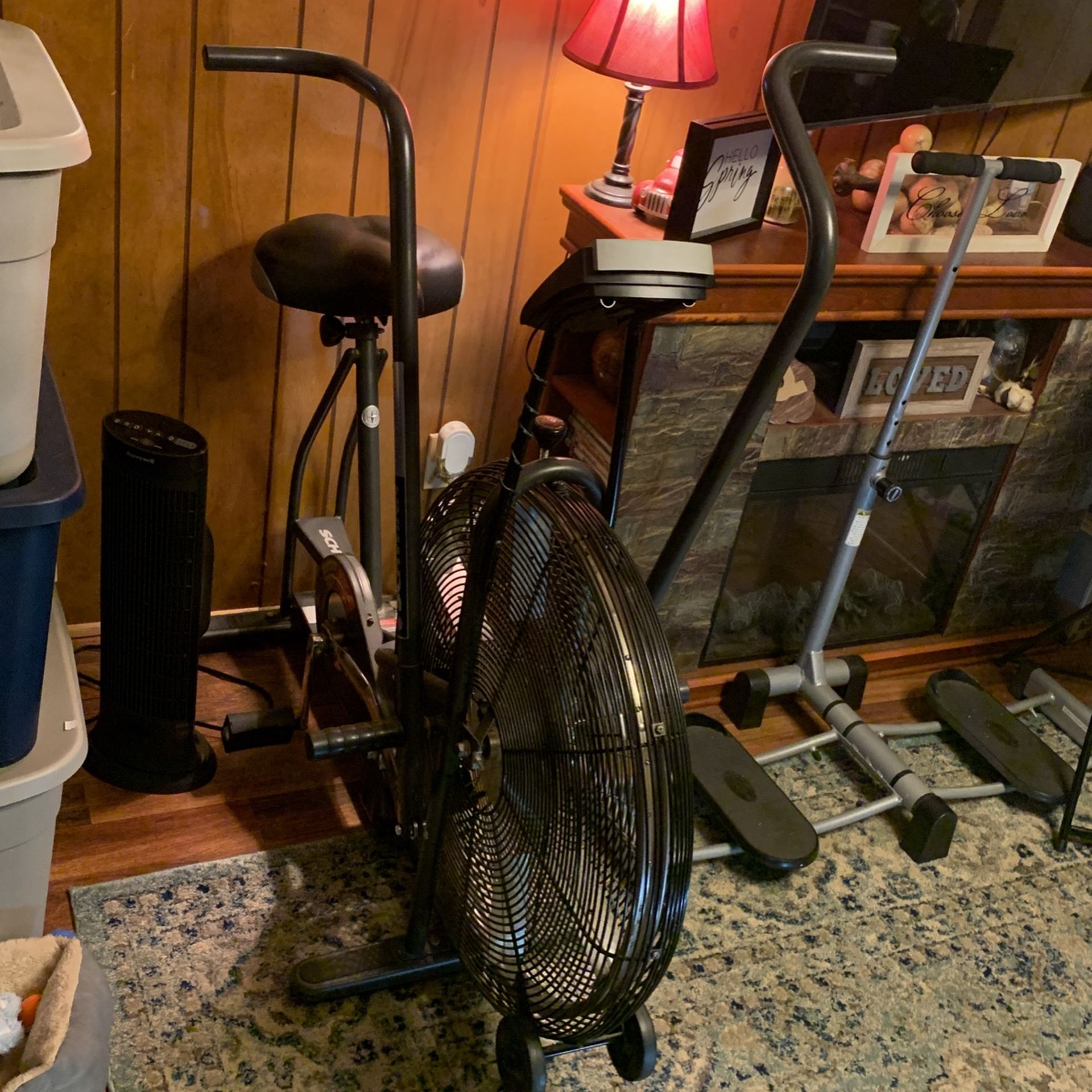 Schwinn Airdyne Air