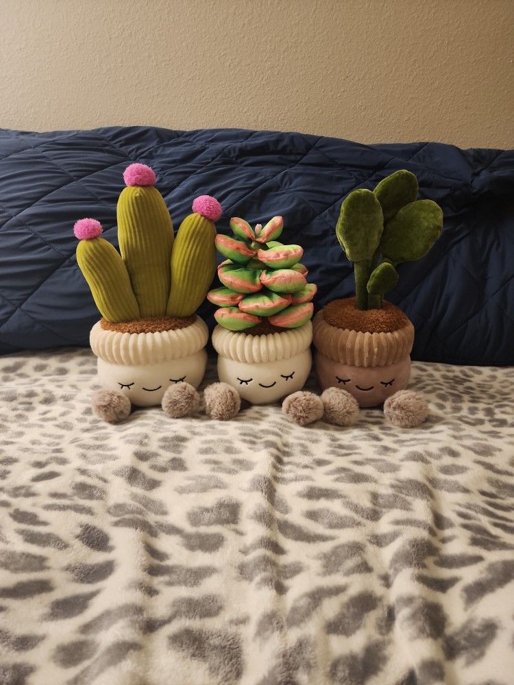 Succulent Stuffed Animals