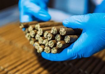Professional blunt rolling