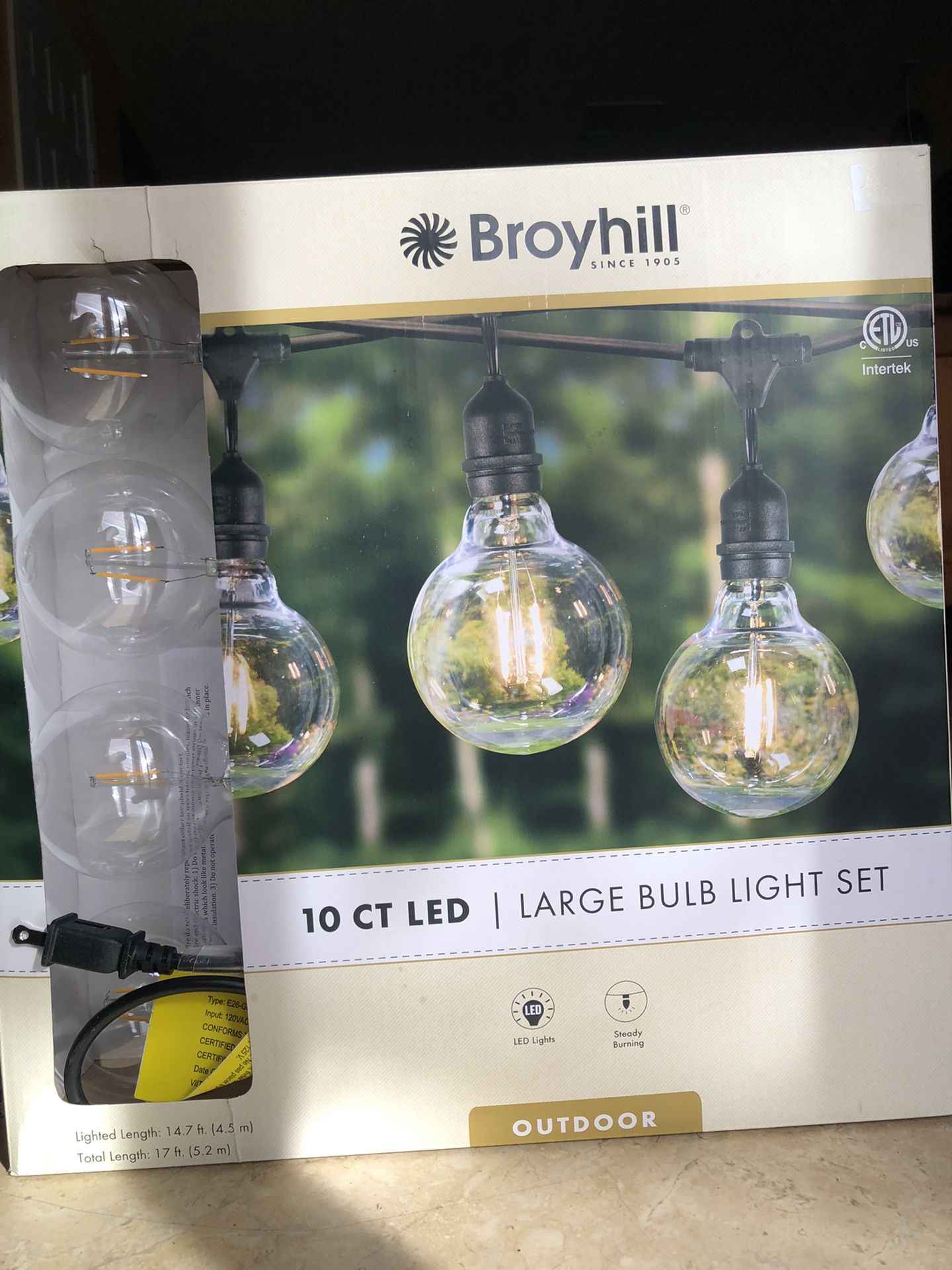 10ct LED Large Bulb Light Set