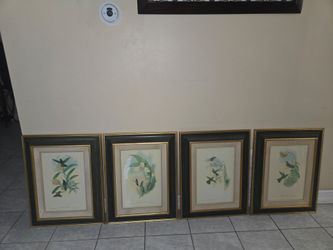 Set of 4 Framed Hummingbird & Botanical Prints