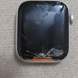 OEM Apple Watch Se
