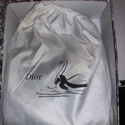 Dior Bag 