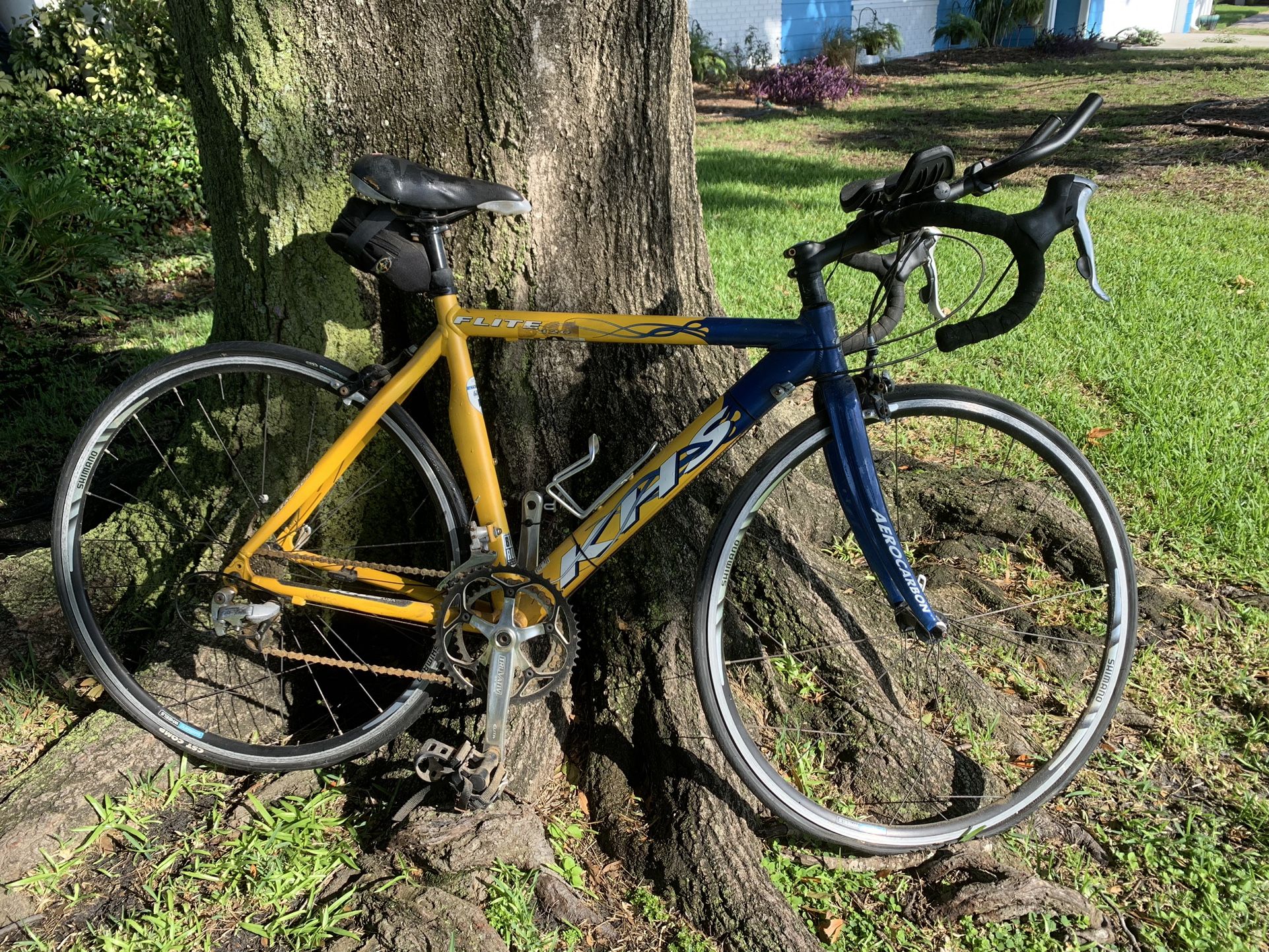 KHS Flite 320 Triathlon Bike