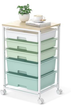 New Utility Cart with 5 Drawers,Storage Cart with Wooder Tabletop