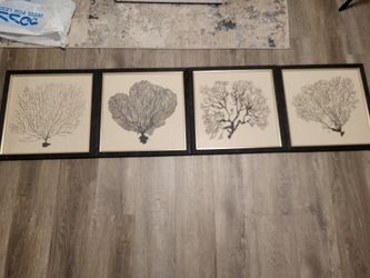 4-set Coral Wall Pictures 18"x18"