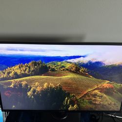 Asus Gaming Monitor