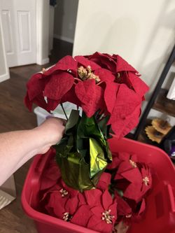 Fake Poinsettia 