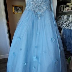 Sweet Sixteen/quinceanera Dress