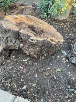Decorative stumps