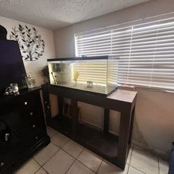 70 Gallon Fish Tank And Stand 